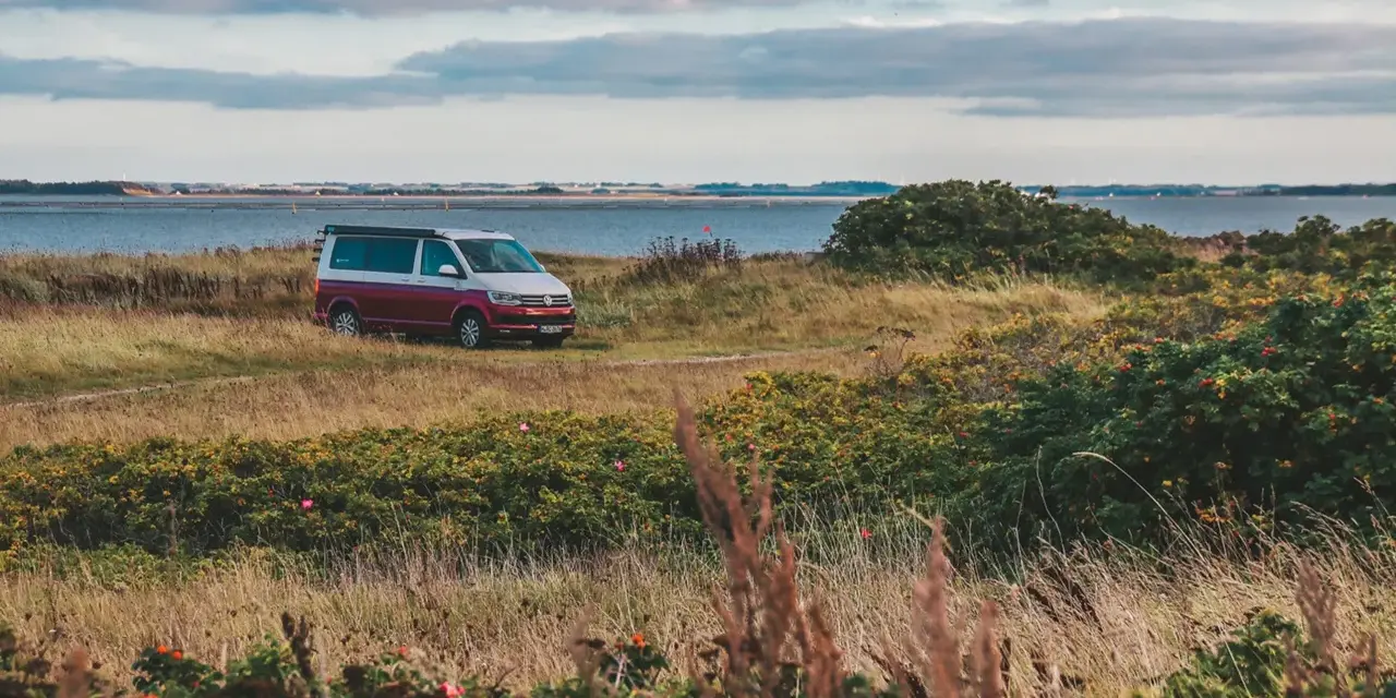 Husbil parkerad vid en gräsbevuxen kustlinje med buskar och blommor. Vattnet glittrar i bakgrunden, en idyllisk vy över norra Danmark.