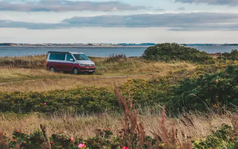 Husbil parkerad vid en gräsbevuxen kustlinje med buskar och blommor. Vattnet glittrar i bakgrunden, en idyllisk vy över norra Danmark.
