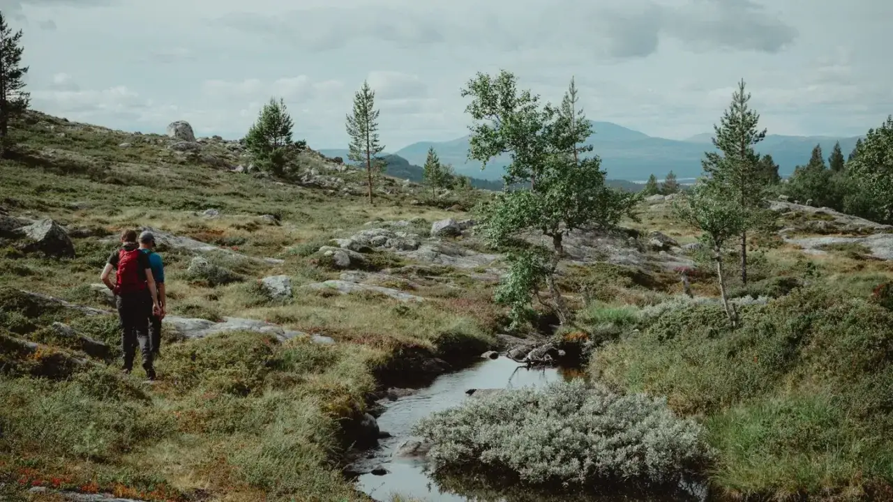 Tv&aring; vandrare g&aring;r genom ett stenigt landskap med en b&auml;ck. Kanske &auml;r det deras f&ouml;rsta camp Mellsta.