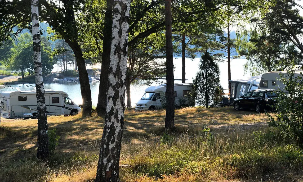 Solig dag p&aring; Kalvholmens camping. Husbilar och husvagnar st&aring;r uppst&auml;llda vid vattnet, omgivna av tr&auml;d och gr&auml;s.